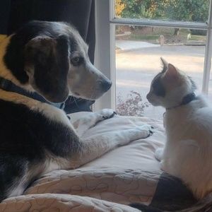 Meet your Posher, Lynn